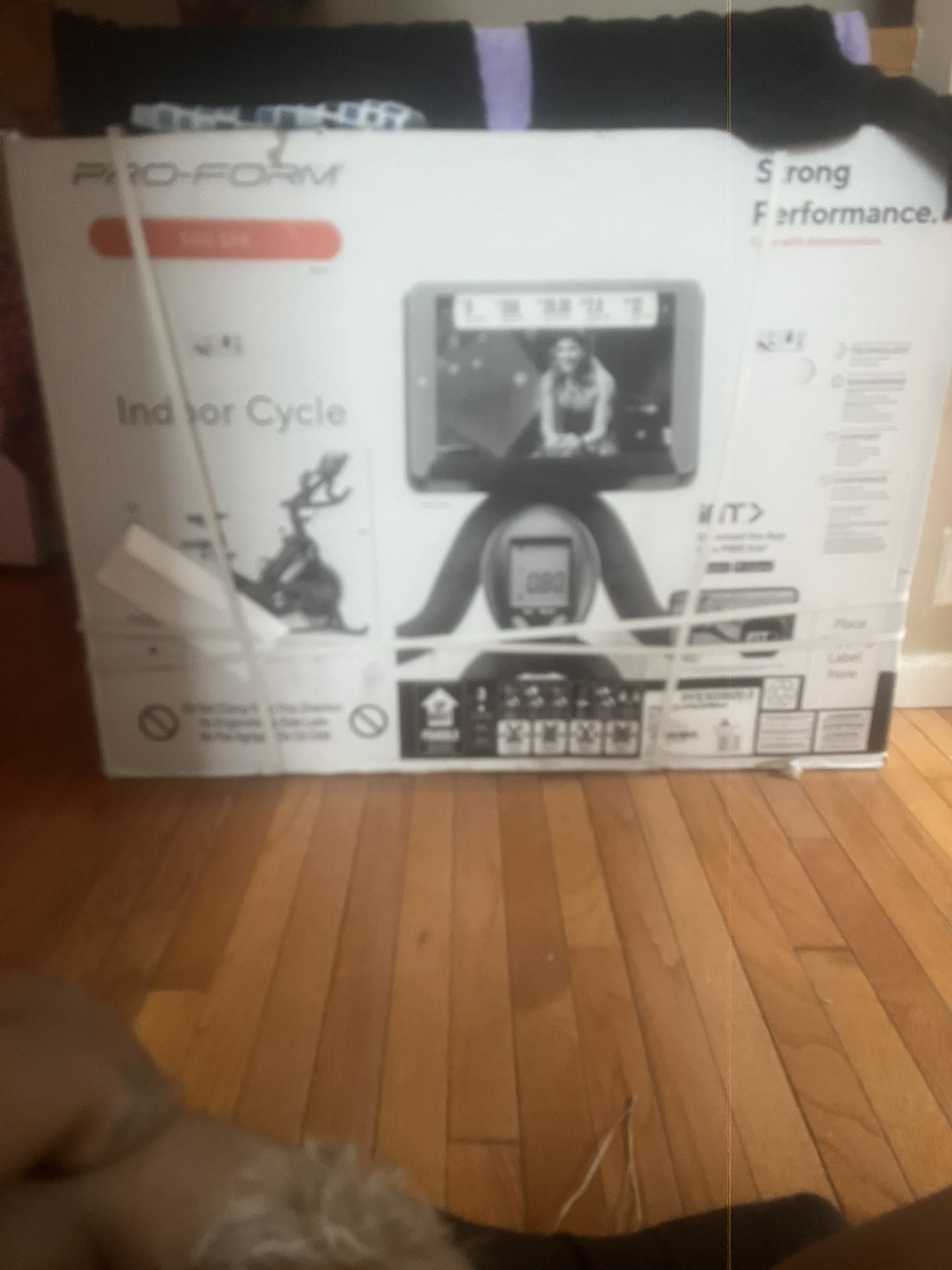 Exercise Bike