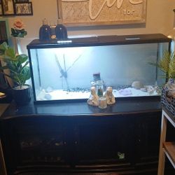 55 Gallon Tank and Stand