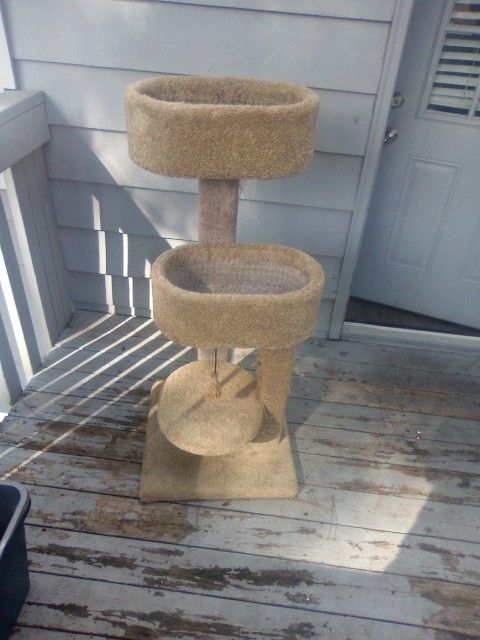 Cat Tree Condo