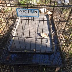 Dog Kennel