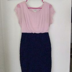 Size 8, Pink And Navy, Bodycon Dress

