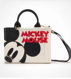 Mickey Mouse mini canvas bag