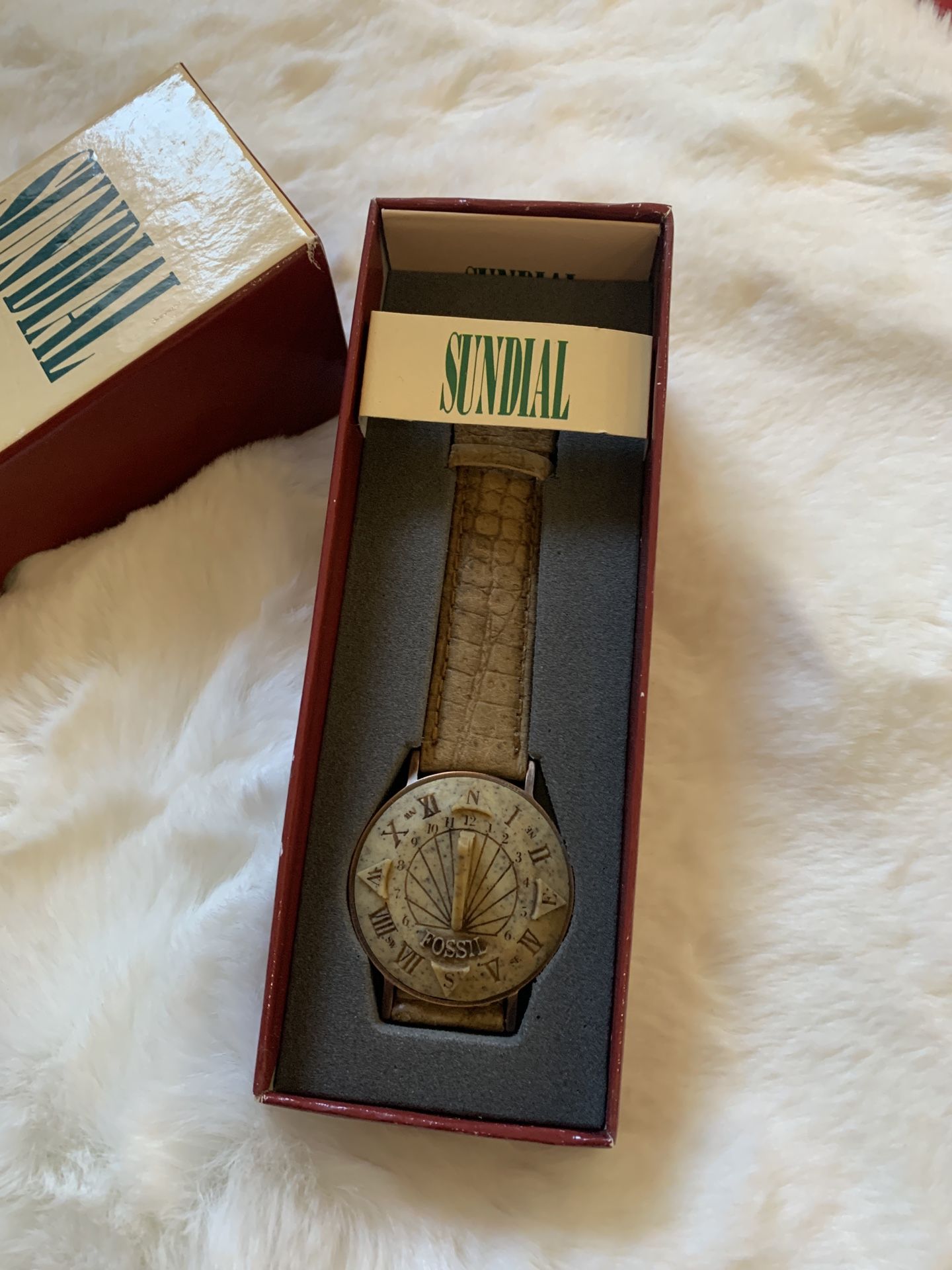 Fossil Sundial Watch