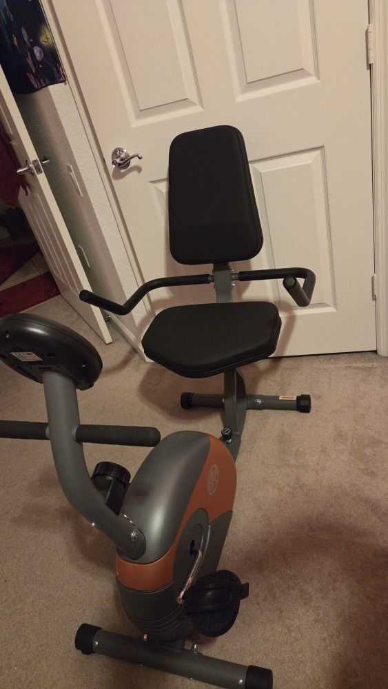 Stationary Recumbent Bike