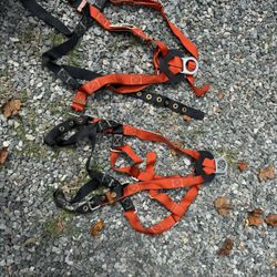 Safety Harness 