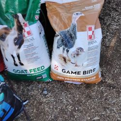 Game Bird Starter Crumbles