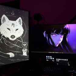 Dual Lg gaming monitors 32 inch 165hz
