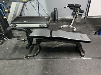 Bench Press