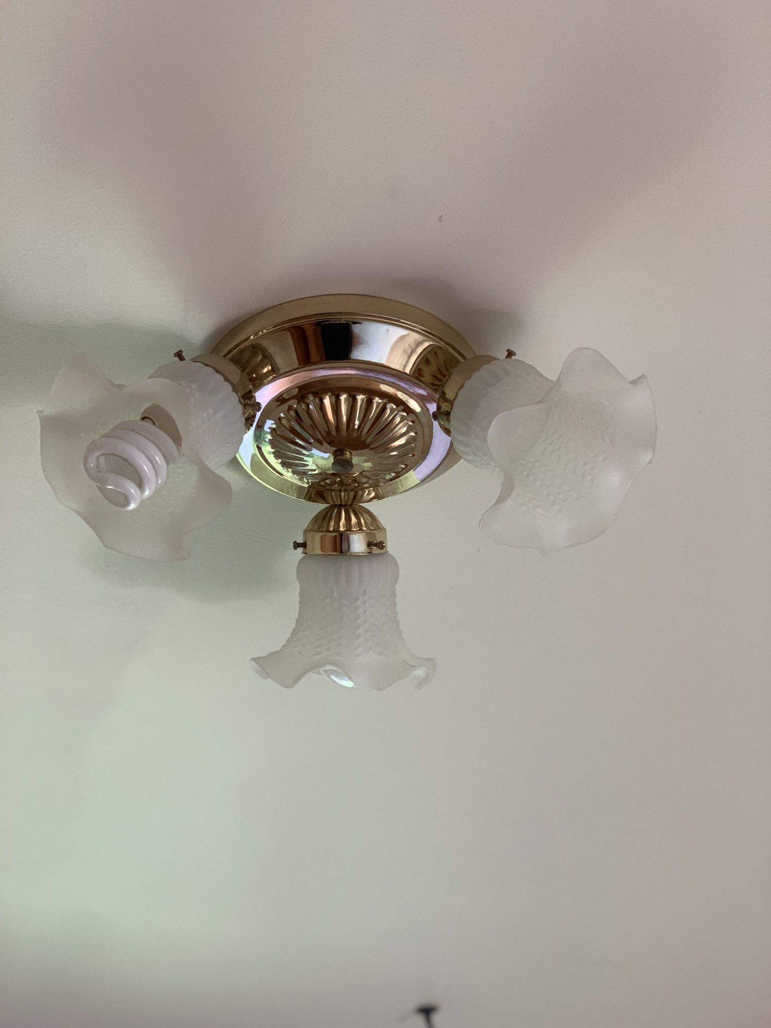 Vintage Ceiling Light Fixture