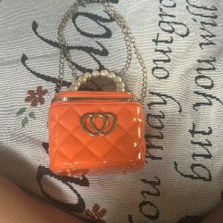 Cute Orange Crossbody/handbag