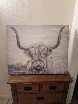 Highland Cow Canvas Wall Art/ aluminum framed cow