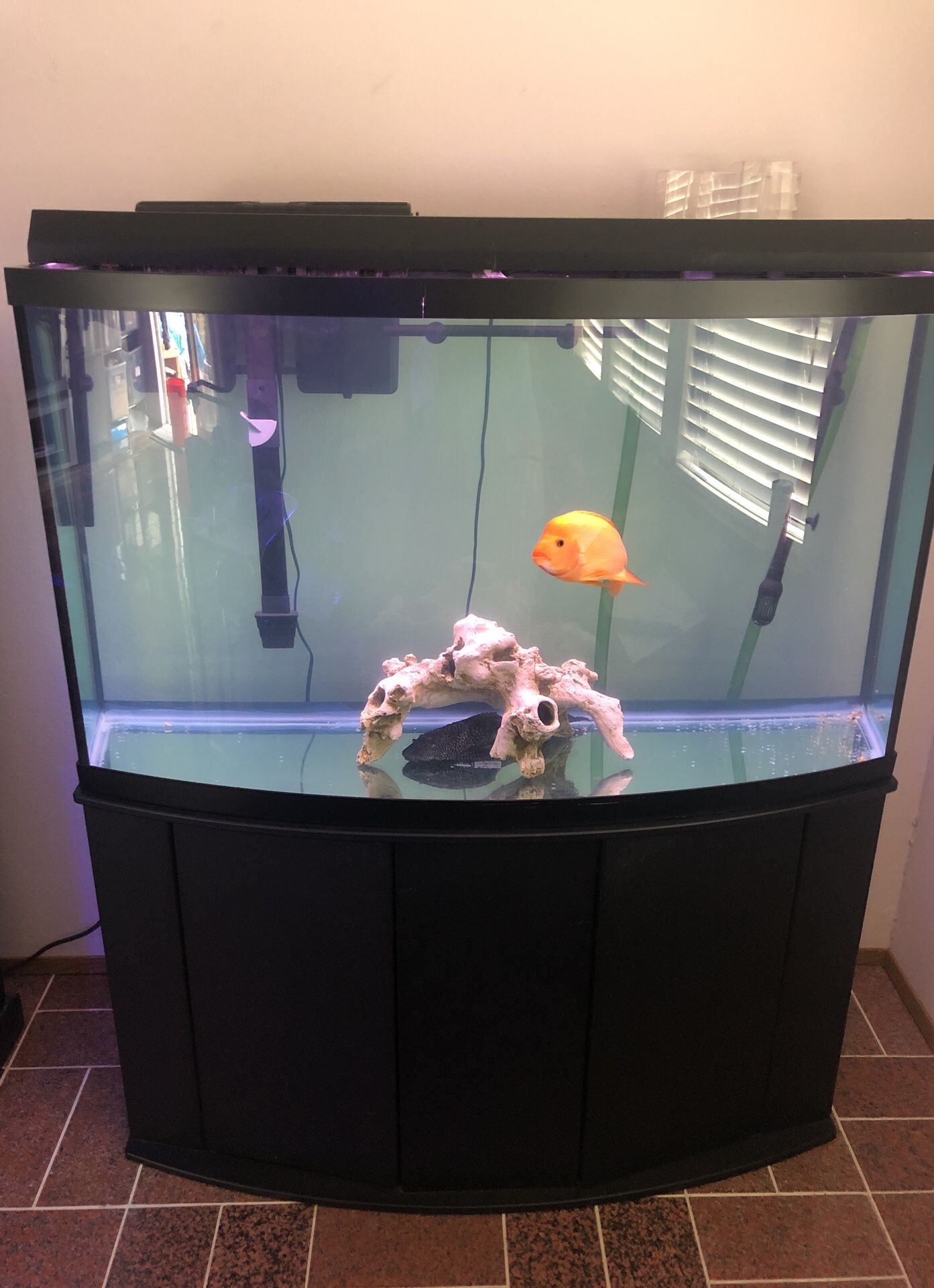 Marineland 90 Gallon Bowfront Aquarium Fish Tank