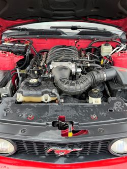 Ford V8
