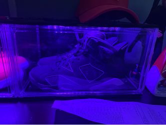Jordan 6s brand new