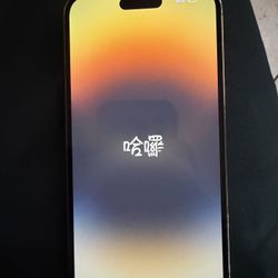 iPhone 14 Pro Max