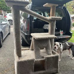 Cat Tree
