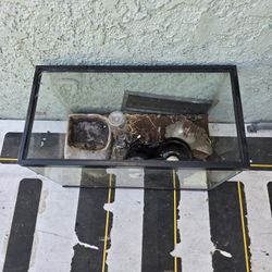 Reptile Tank