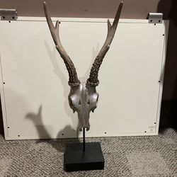 Decorative Skull Deer Head Sculpture 