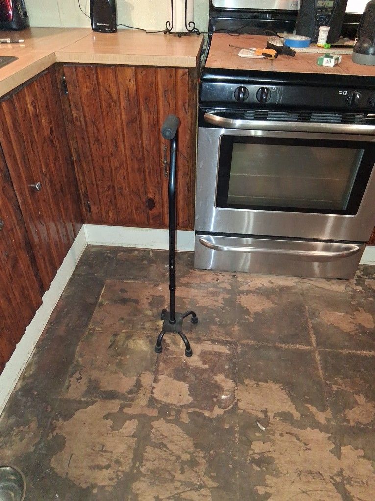 A Walking Cane