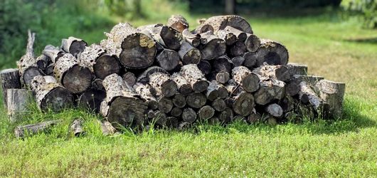 Seasoned Firewood for sale