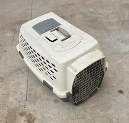 Cat or Yorky carrier