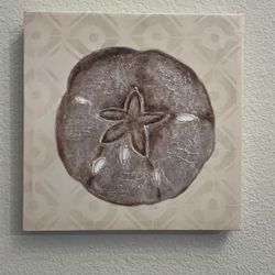 Sand Dollar Home Decor 