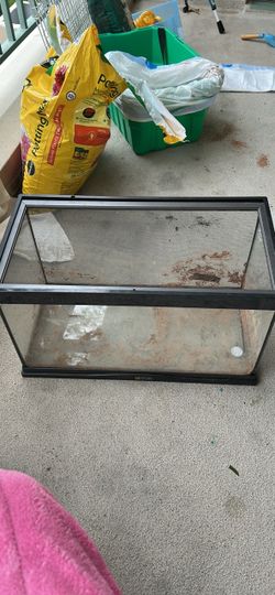 Glass Reptile Tank with Screen Lid
