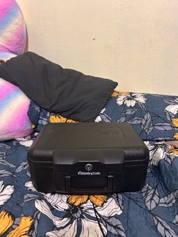 Sentry safe