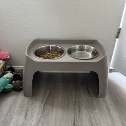 raised dog feeder