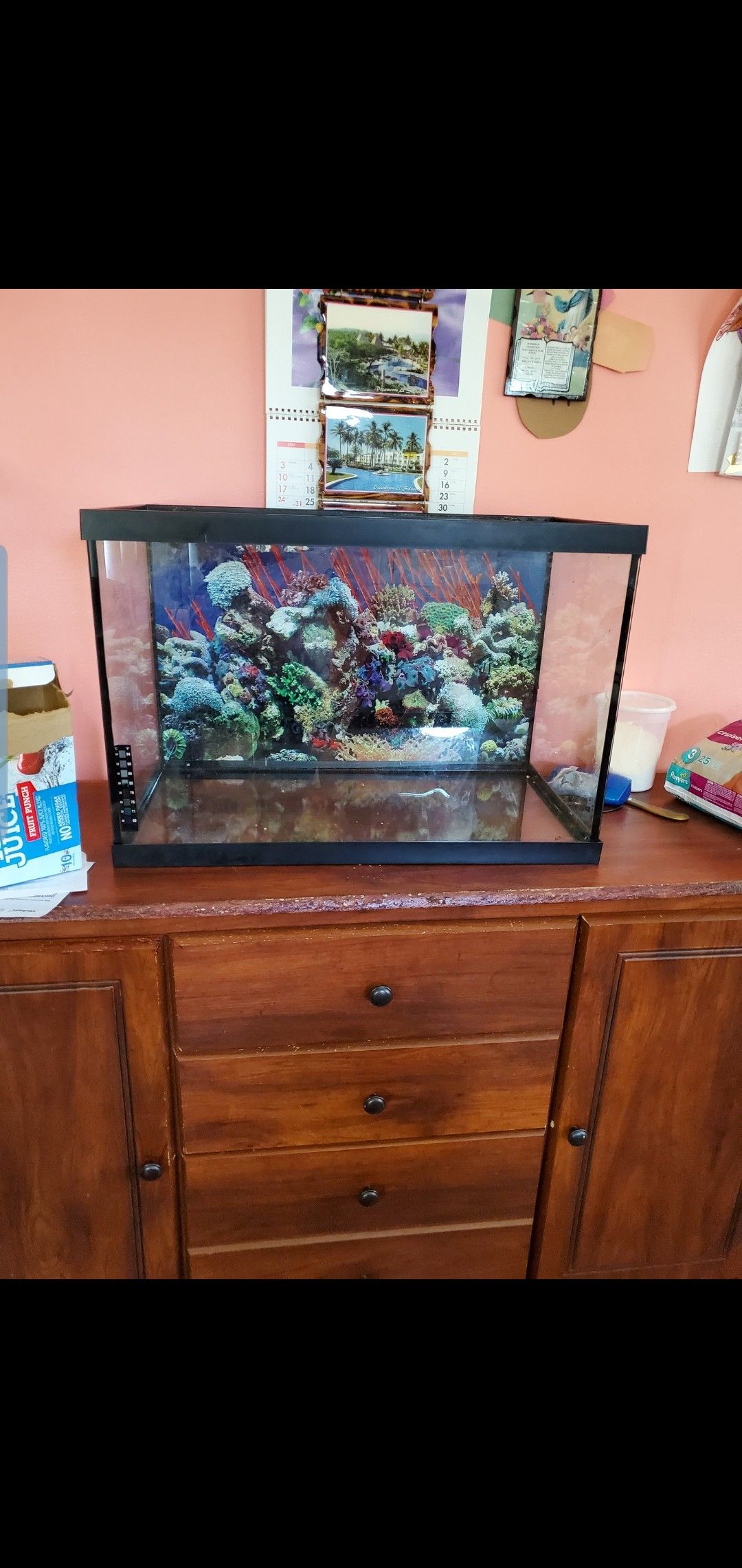 20 gallons Fish tank