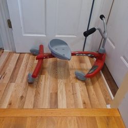 Ziggle Ride On Toy