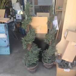 Fake Potted Topiary