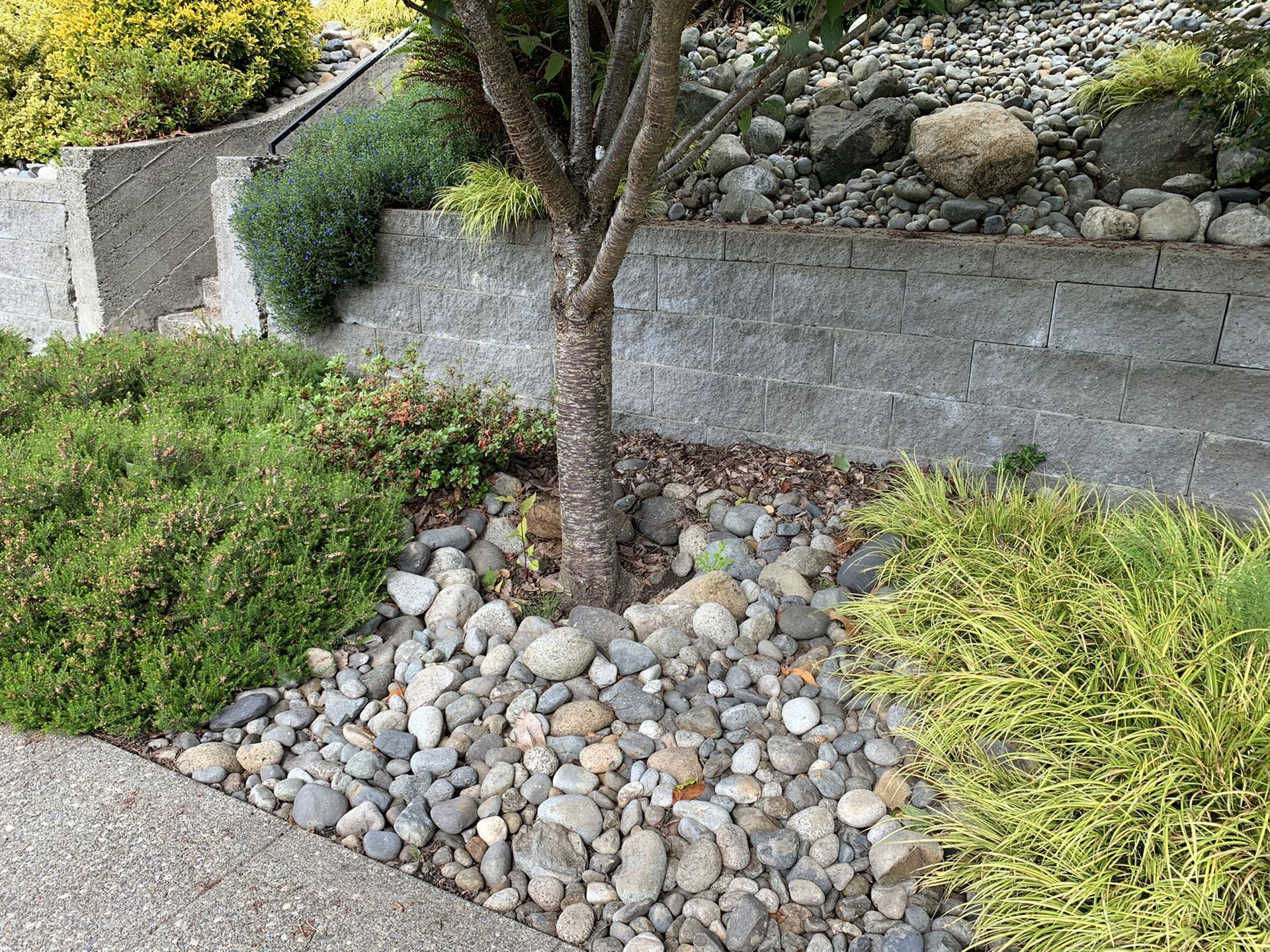 Free Landscaping Rocks for Sale in Everett, WA - OfferUp