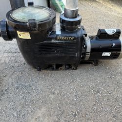 Jandy 2hp Swimming Pool And Spa Pump 