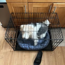 Dog Crate 