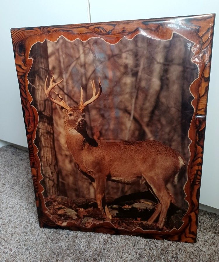 Deer Picture (Of A Buck)