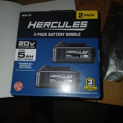 Hercules 2-pack 20v 5a