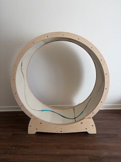 Cat wheel !