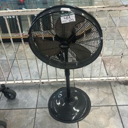Fan