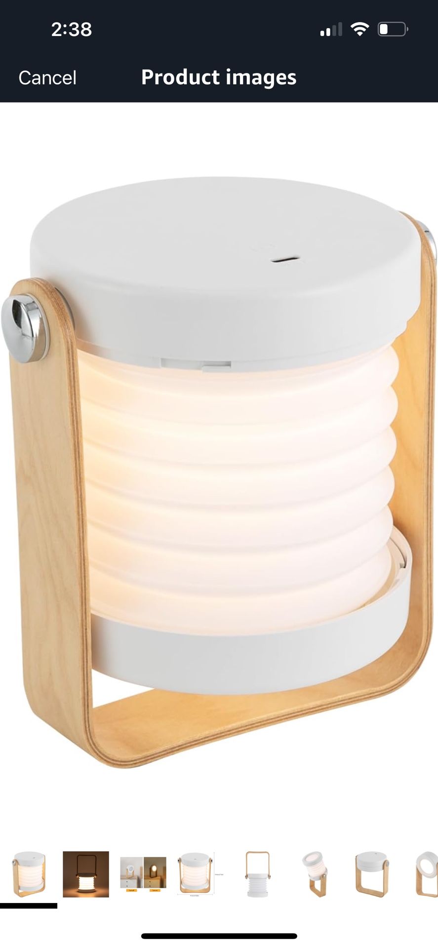 Portable Folding Light