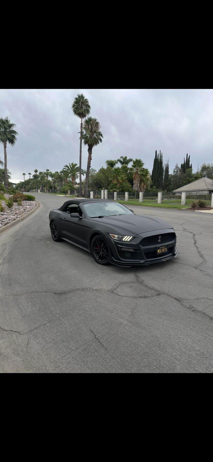 Car Wrap