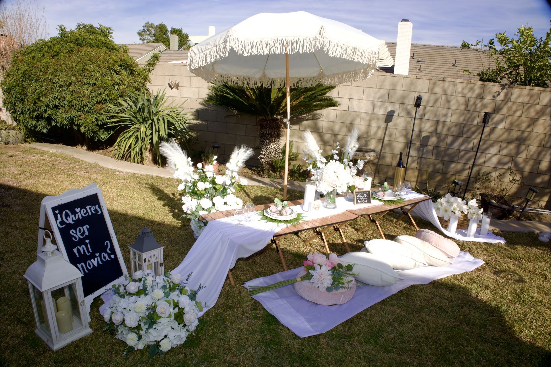 Picnic Setup