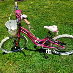 Girls Trek Bike