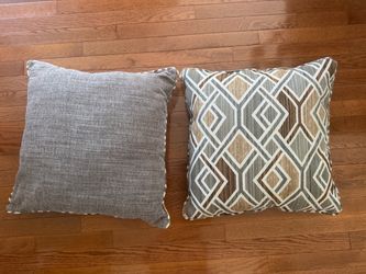 Set of 2 Reversible 20x20 Throw Pillows