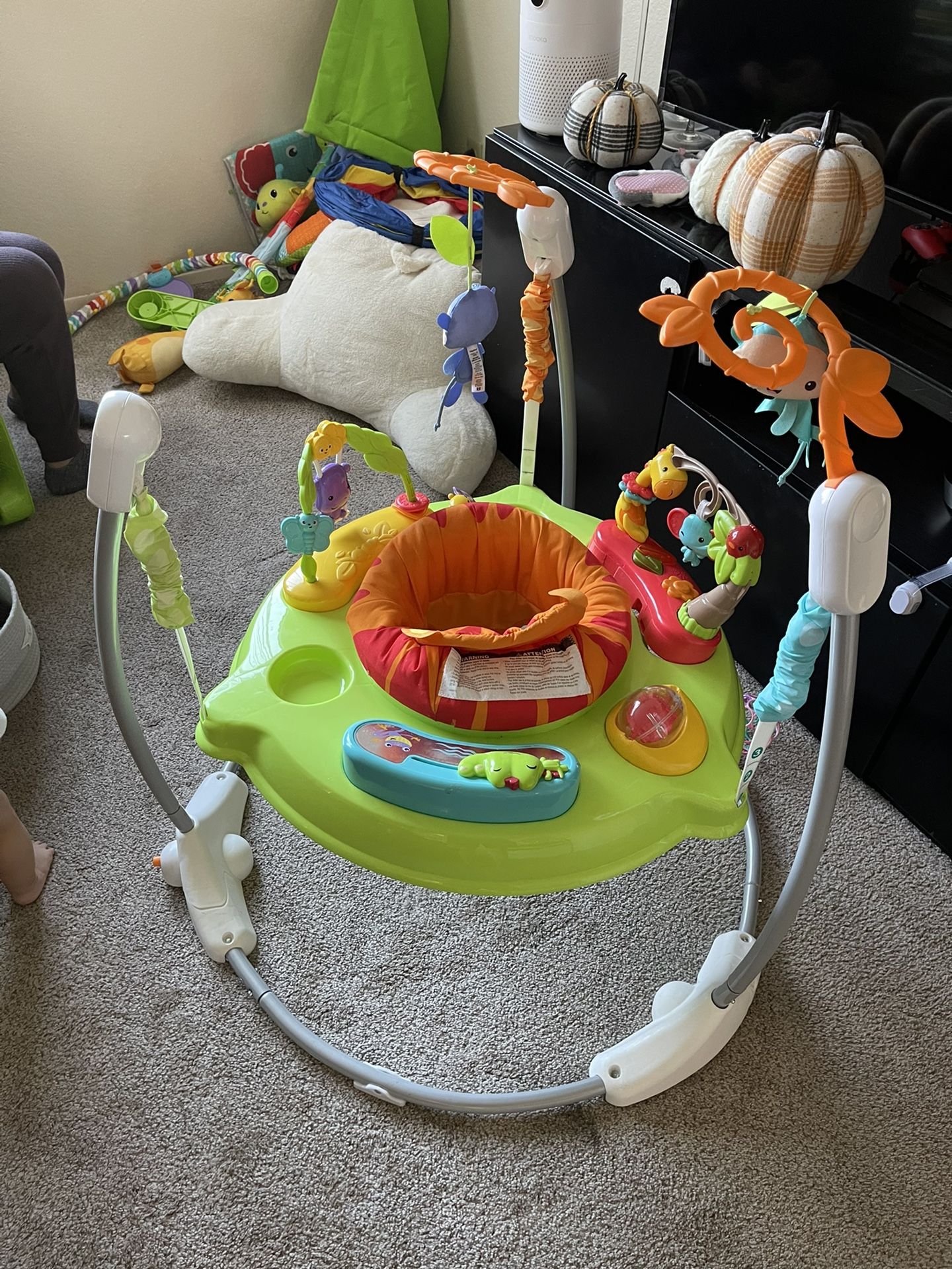 Baby Jumper From Fisher-price