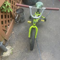 Ninja Turtles Bike