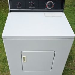 Electric Dryer 