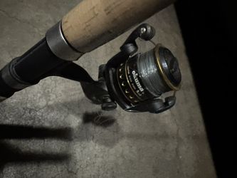 Daiwa  Fishing Rod
