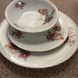 Antique Czechoslovakia/bohemian dinnerware 