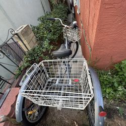 Three Wheel Bike, Adult Tricycle.